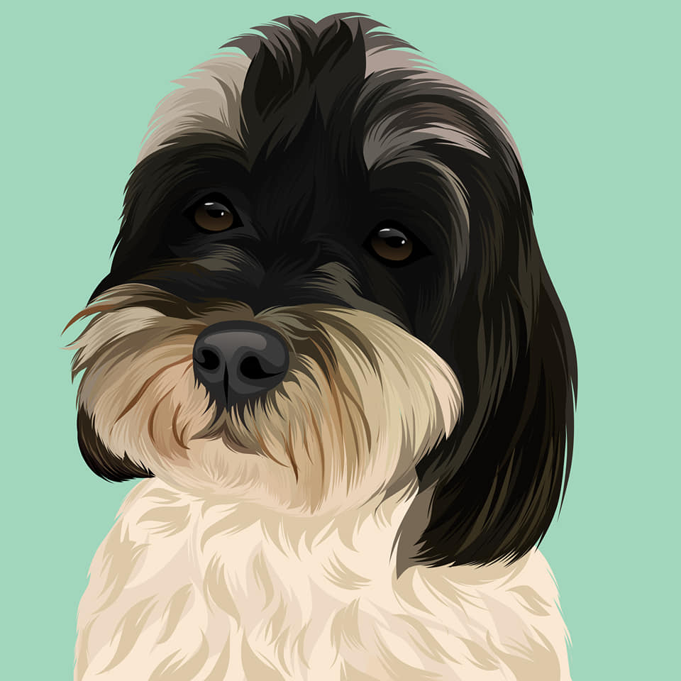 I will draw your dog and cat into cartoon portrait