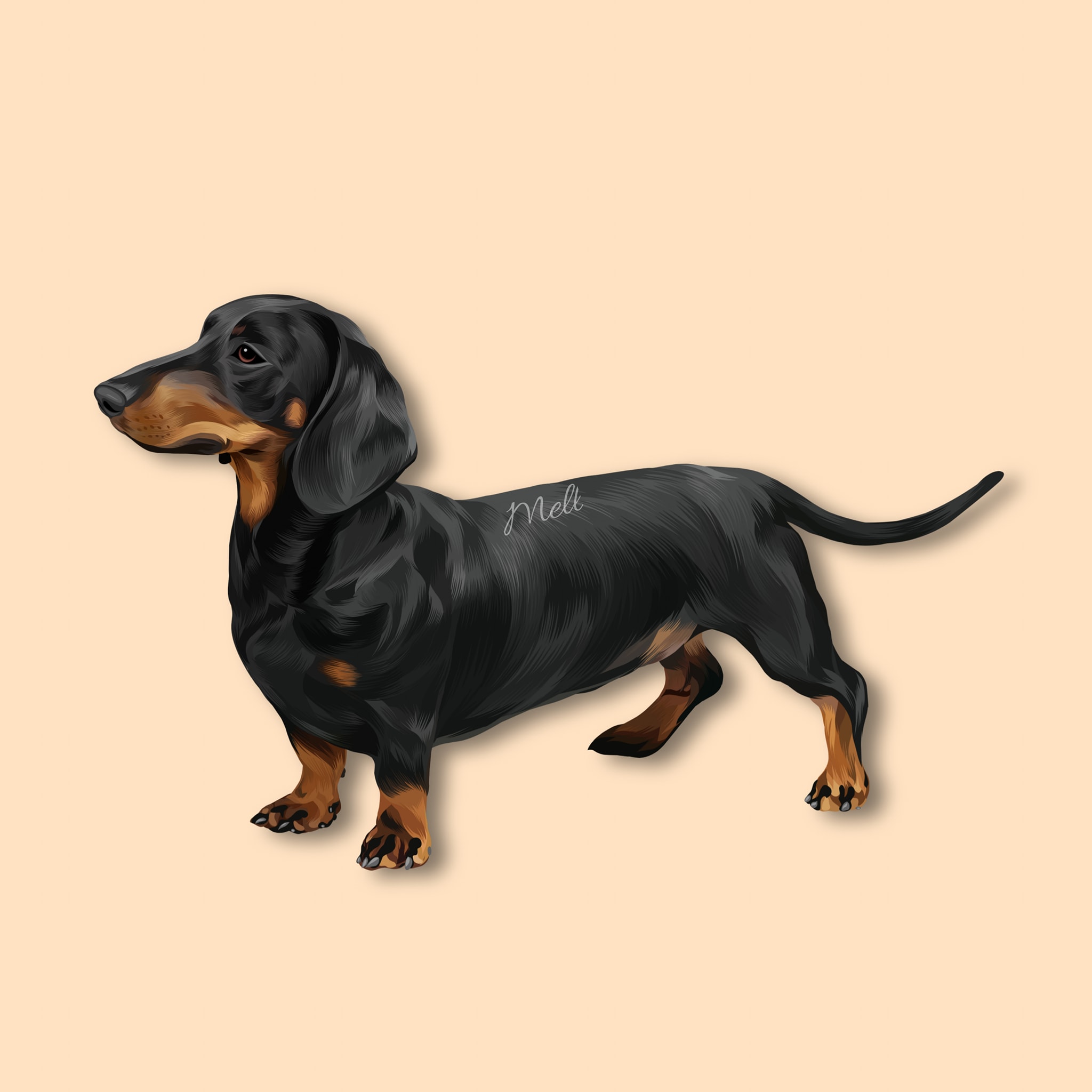 I will draw your dog and cat into cartoon portrait