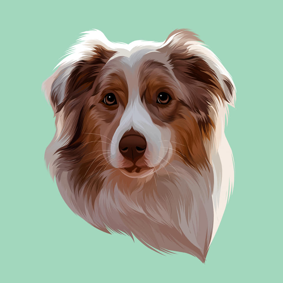 I will draw your dog and cat into cartoon portrait