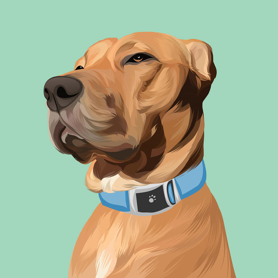 I will draw your dog and cat into cartoon portrait