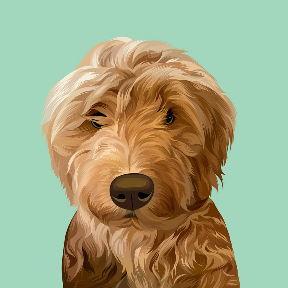 I will draw your dog and cat into cartoon portrait