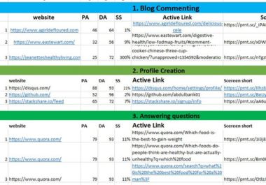 I will do on page off page and technical SEO for your wordpress site