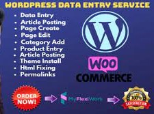 Effortless Excellence: Elevate Your WordPress Experience with Virtual Assistant Services