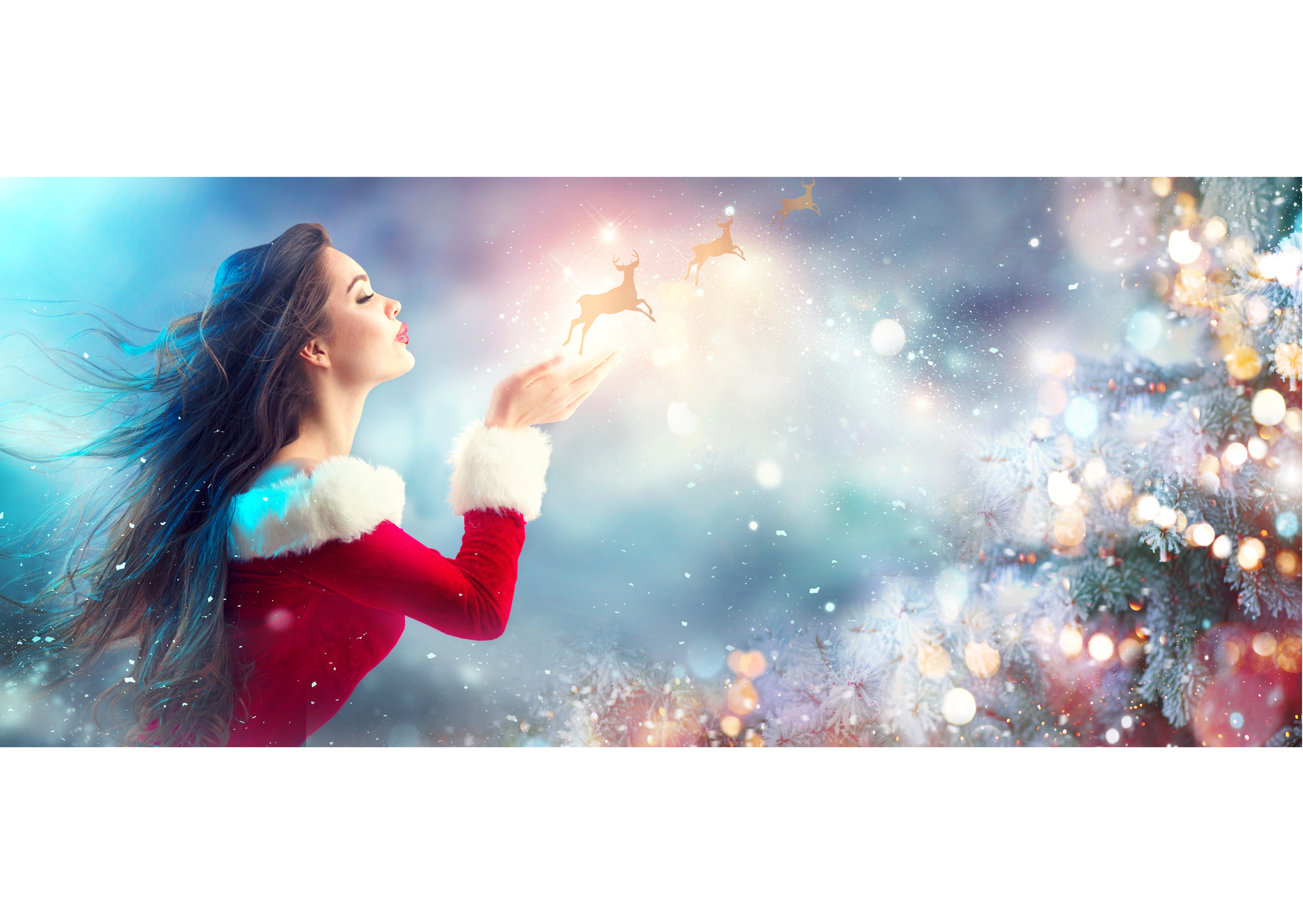 Lets start Dec with holiday Videos and Pictures