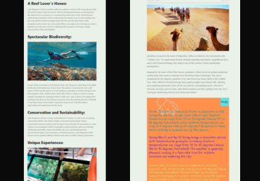 I will write an SEO blog or Travel article