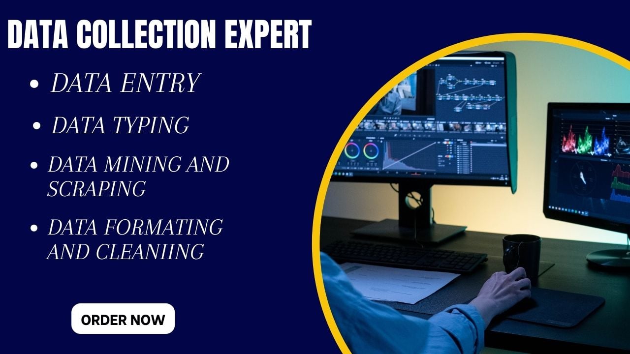 I will do professional and accurate data entry 