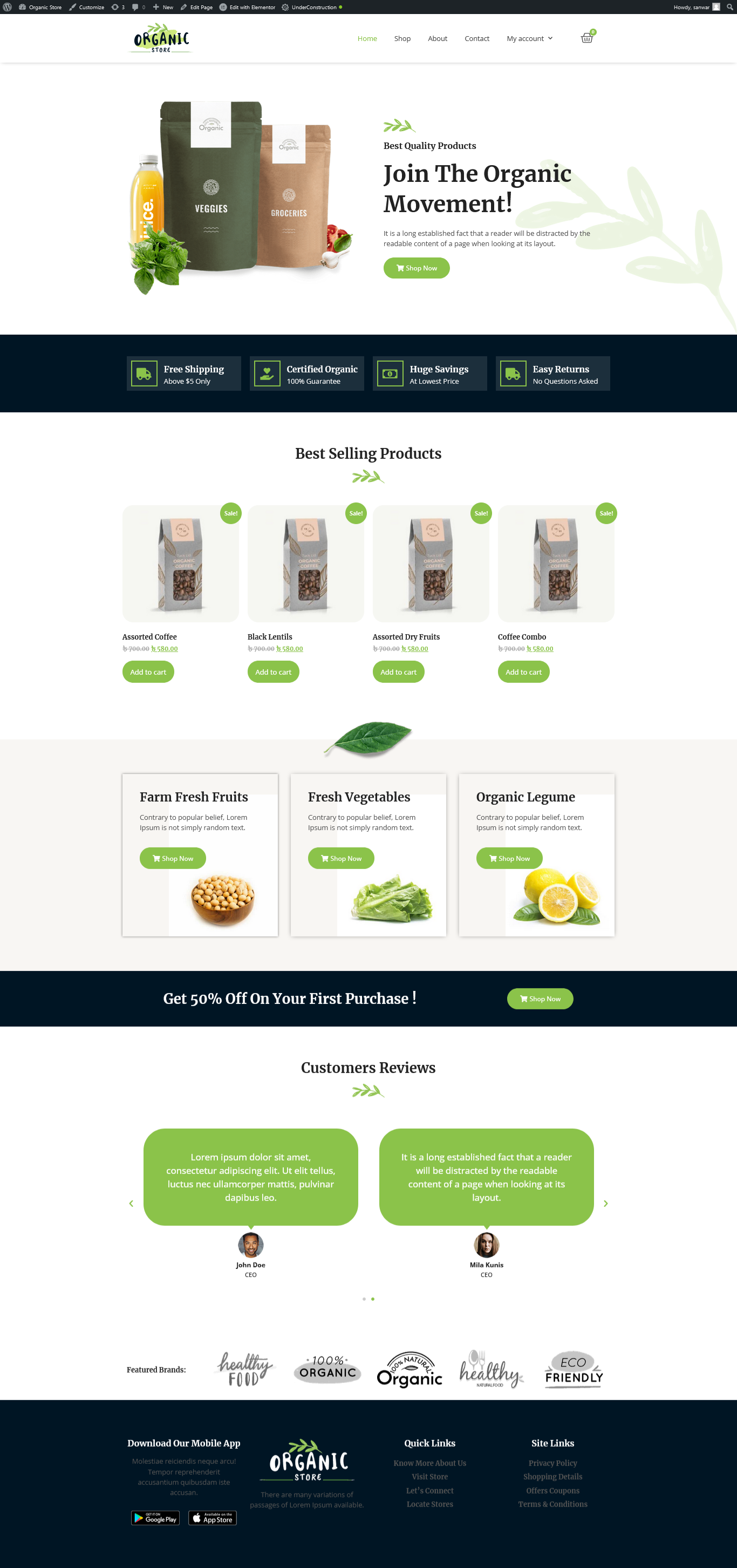 I will create amazing wordpress website using elementor pro