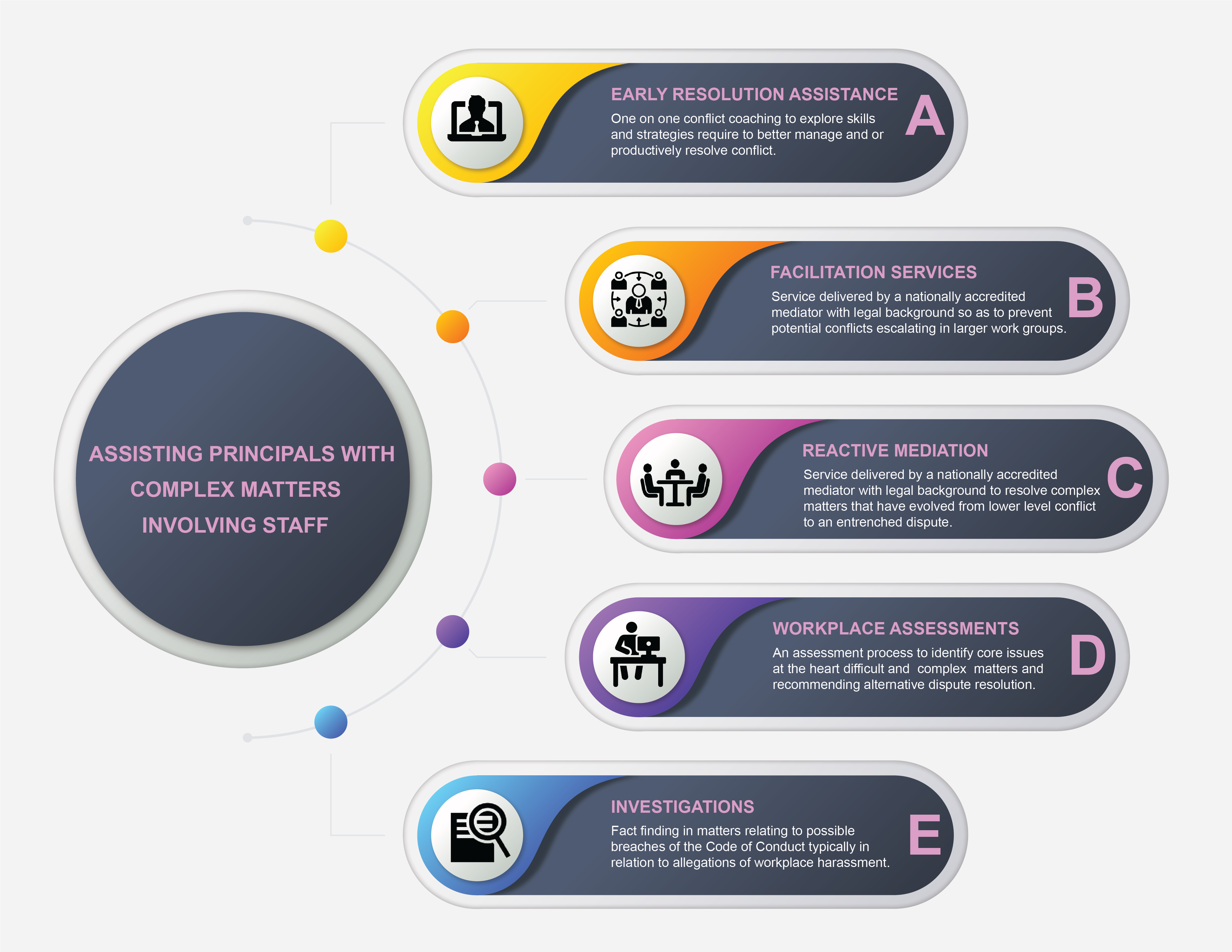 I will design your professional inforgraphic, Flow chart for your Business
