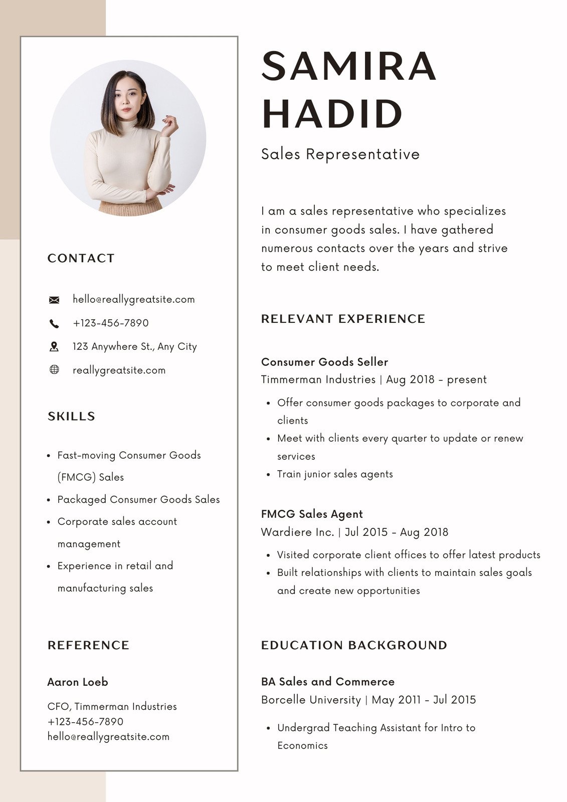 Professional cv - Resume template 