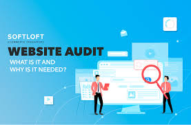 I will complete a website conversion audit