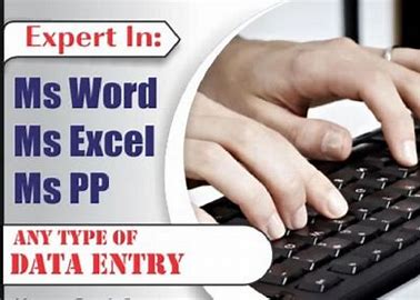 I will do data entry and analysis