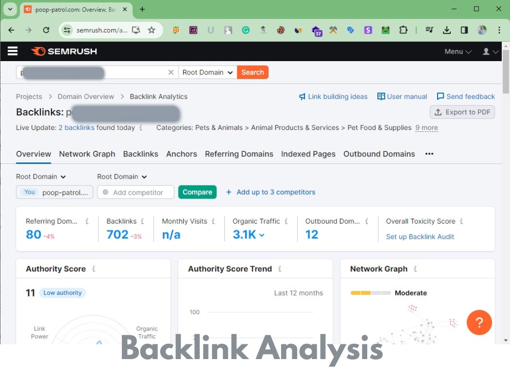 You will get Advanced SEO Keyword Research with top Competitor analysis