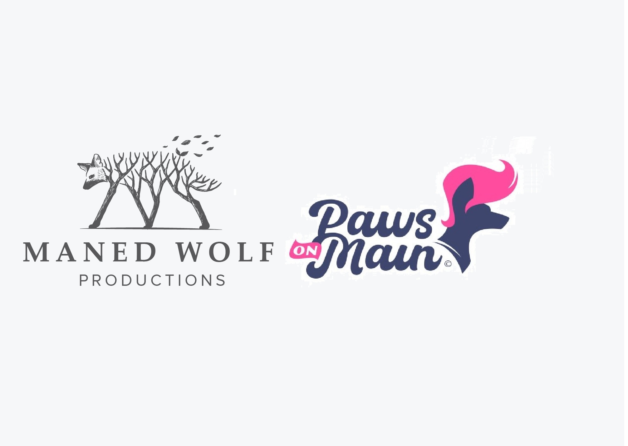 I will do design awesome wolf logo with unlimited revision in 12 hours