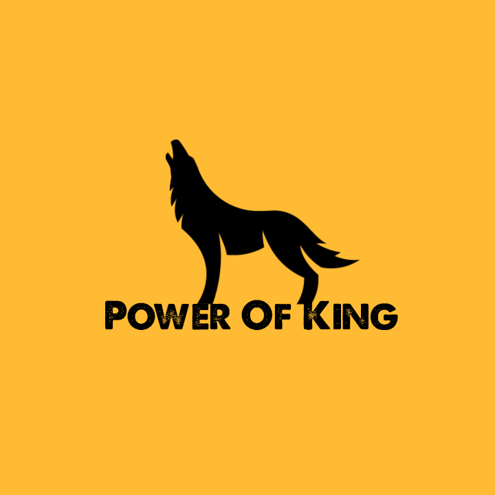 I will create customer minimalist logo design for business