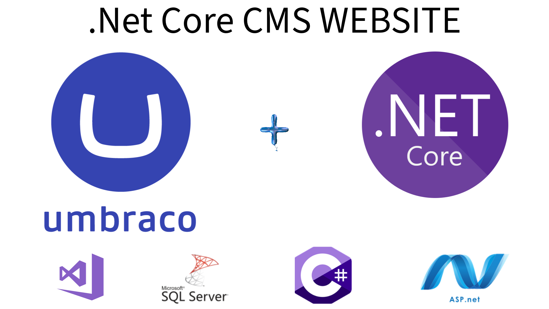 I will craft your umbraco cms website, .net core
