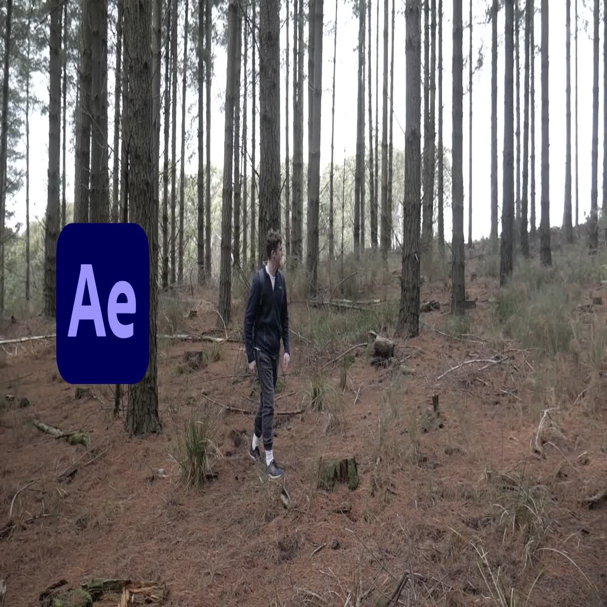 I will remove person from video or logo,text or any object in 6 hours [30 sec video]