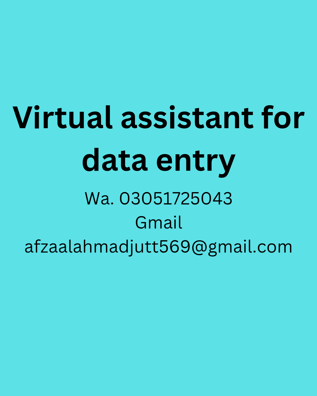 I will do data entry,lead generation,virtual assistant and copy paste