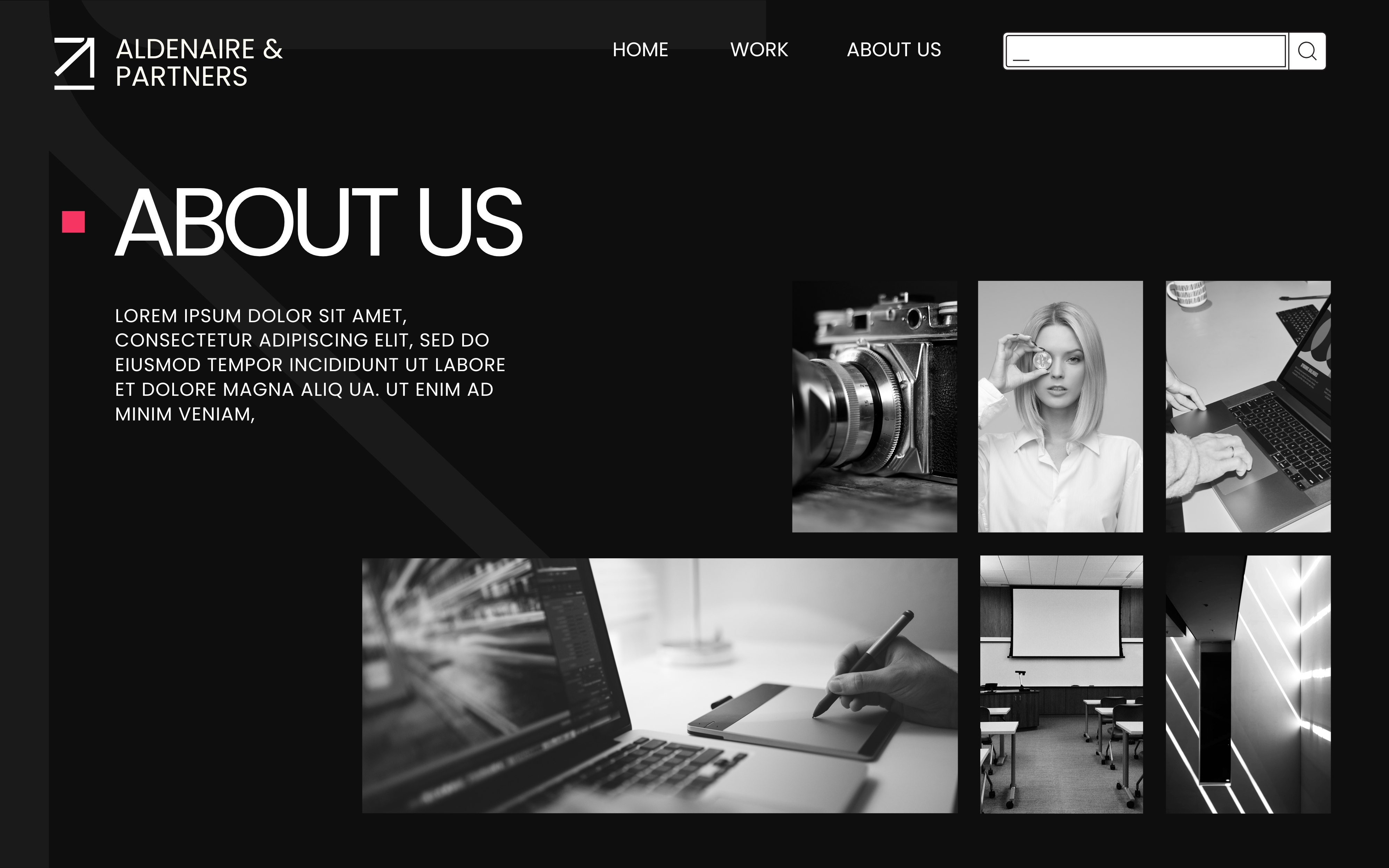 WordPress Website Developer And Create Professional Business Site