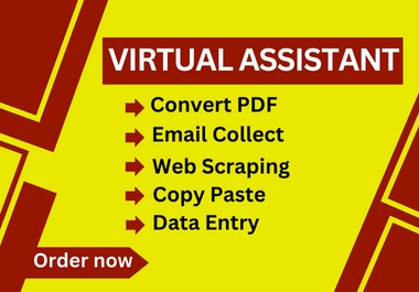 I will do data entry, web research, fast typing, copy-paste job