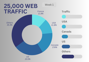 DRIVE TARGETED Human Traffic 1000 per day organic web...