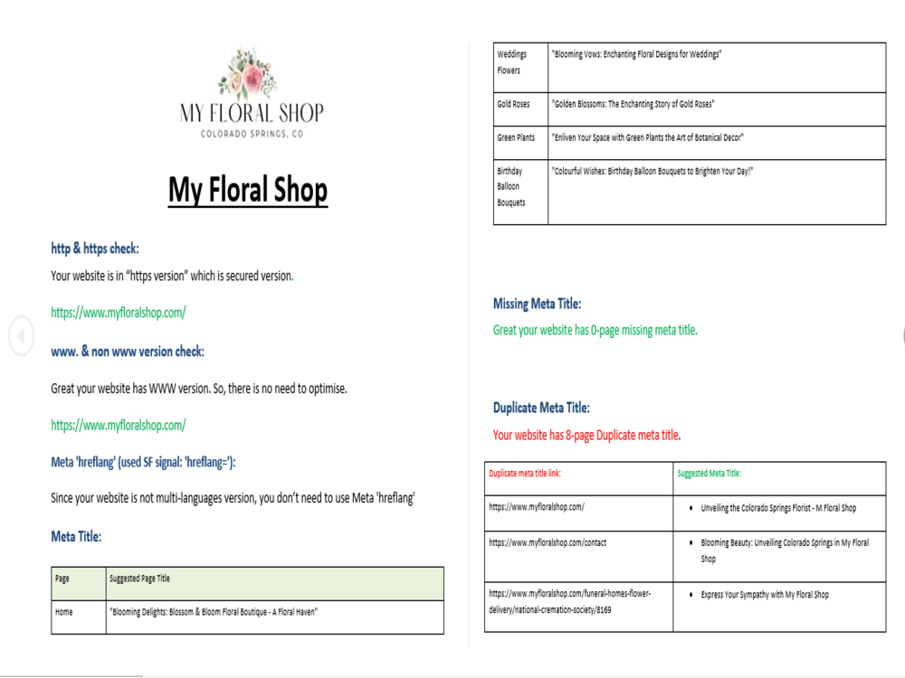 I will provide a SEO audit report with an action plan