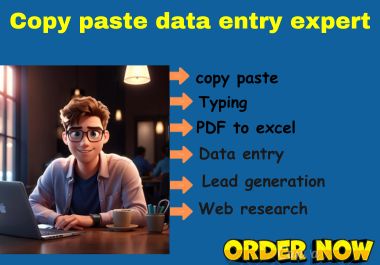 I will do proper copy-paste, excel data entry, and data cleaning 