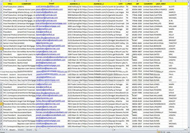 I will provide B2B lead generation to igniting business growth.