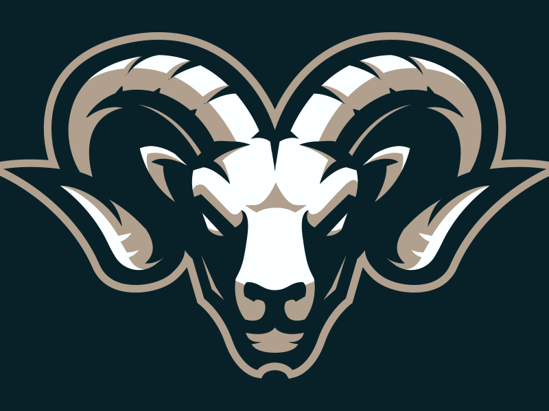 I will create a perfect logo for your business, websites and social media