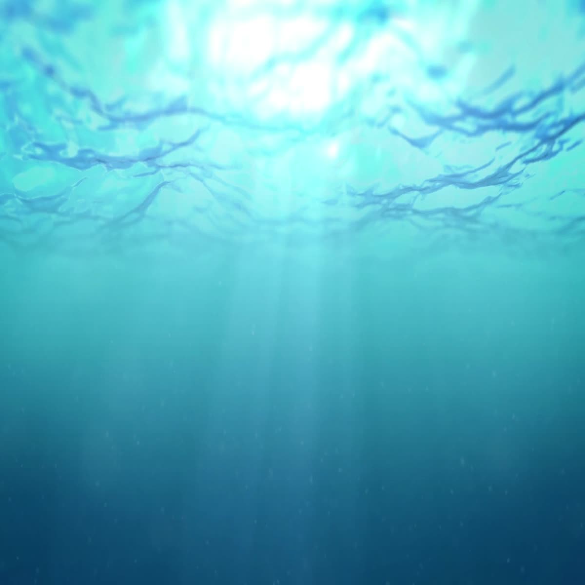 I will do intro outro video trailer, and opener vide...