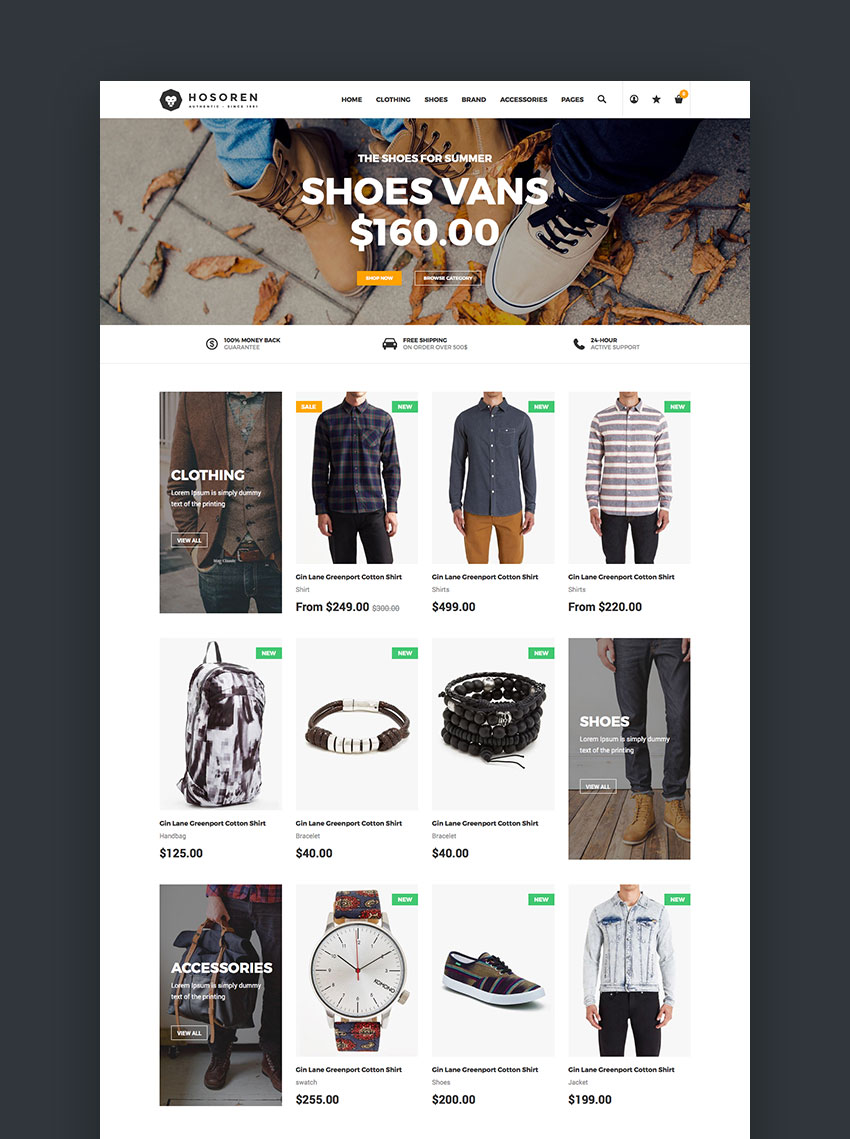 Build Your shopify Droppshipping web-site 