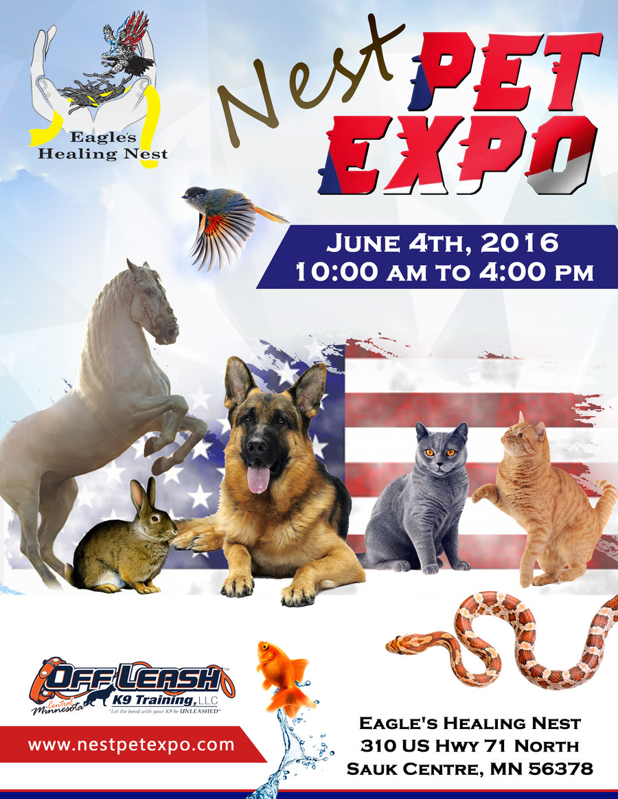 I will do professional design services poster, banner, flyer, brochure