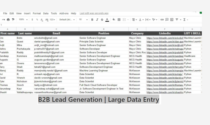 I will do focused on b2b lead age and email list building