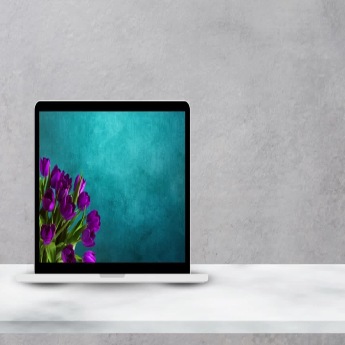 design a creative and professional logo within 12 hours