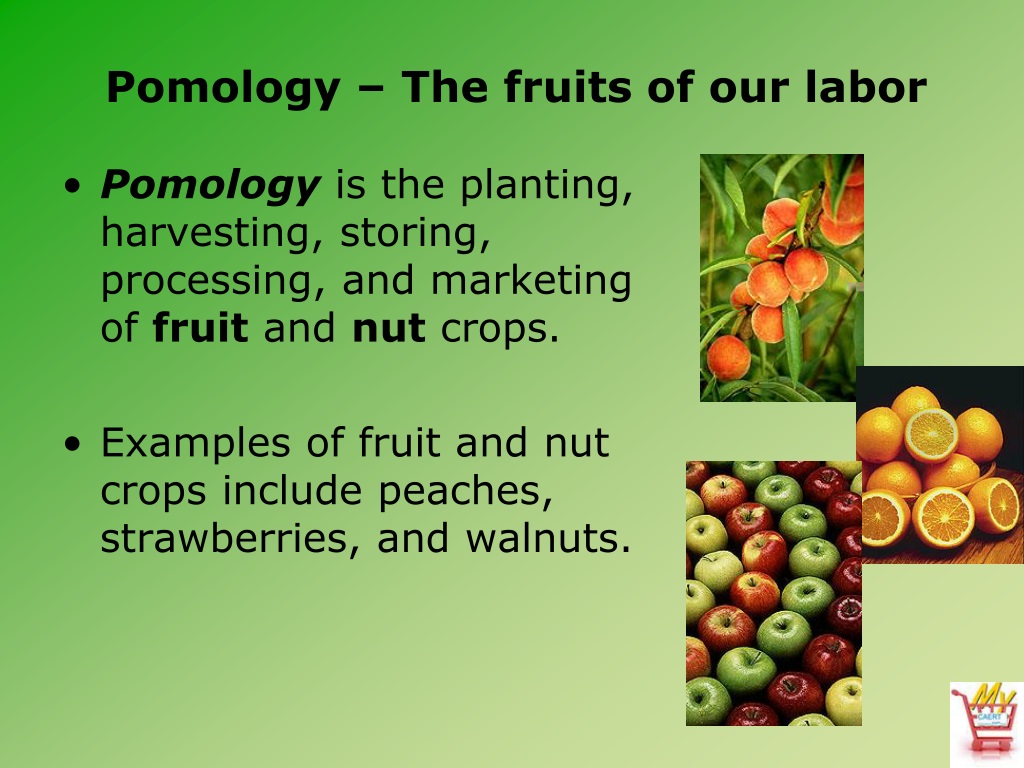 I will deal with crop production, pomoculture and floriculture