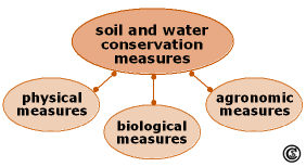 I will delve in soils and water conservation management