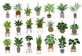 I will tackle all aspects of botany and plant taxonomy