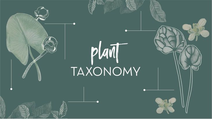 I will tackle all aspects of botany and plant taxonomy