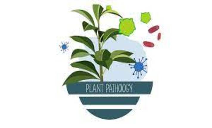 I will deal with plant pathology