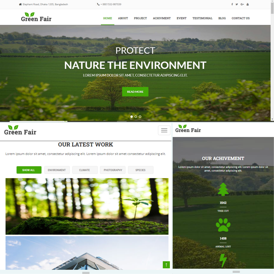 I create a wordpress website for you