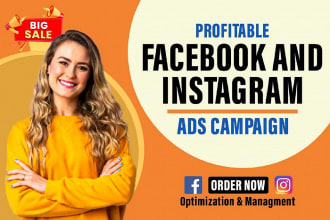 I will create facebook ads campaign, instagram ads c...