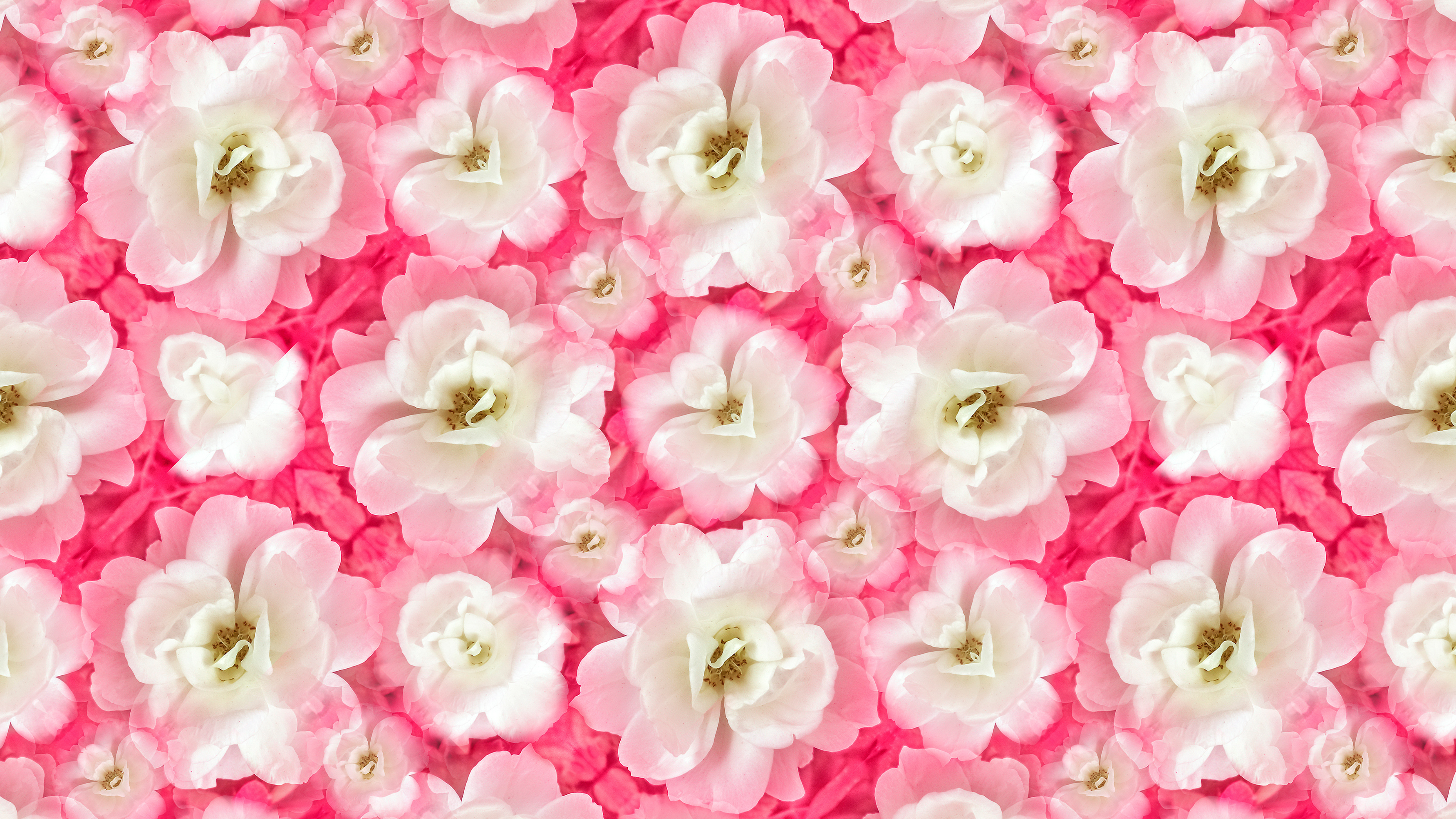 I am a professional 4k Pattern designer,logo and NFT designer 