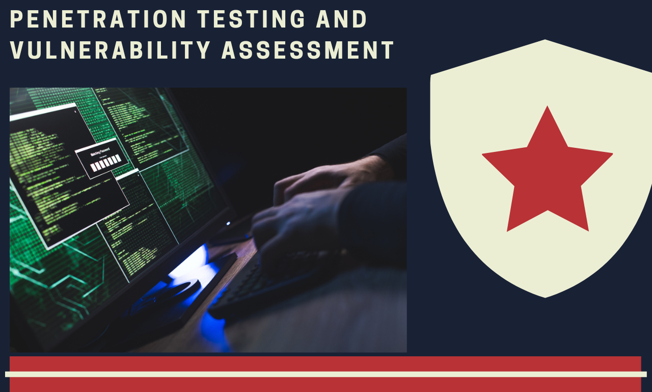 You will get professionally Penetration Testing your ...