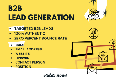 Expert B2B Lead Generation for Targeted Sales and Mar...