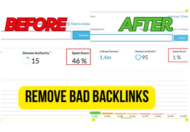 i will remover your website toxic & bad backlinks rank your website on google