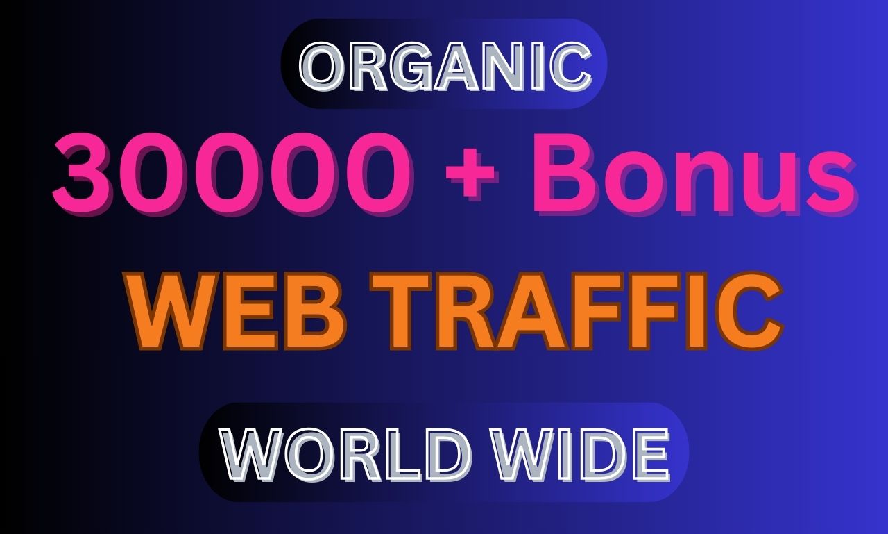 I will drive 30,000 organic visitors from around the world to your website