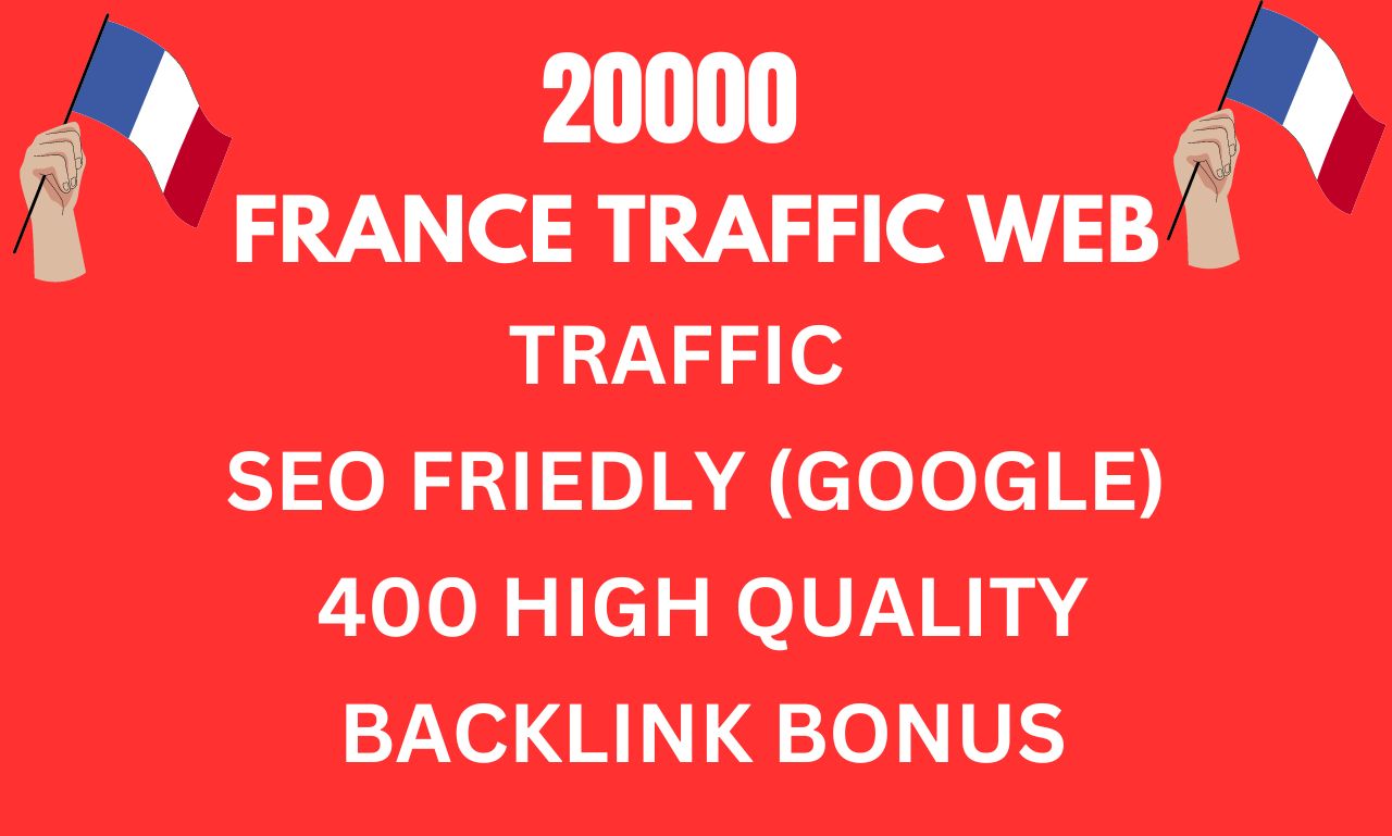 I will Do Best Google Web Traffic For France
