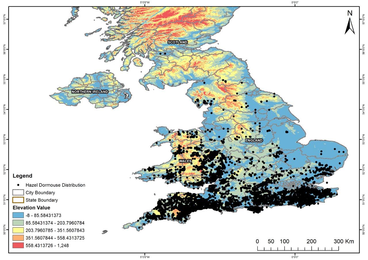 Professional GIS Mapping and Remote Sensing Services