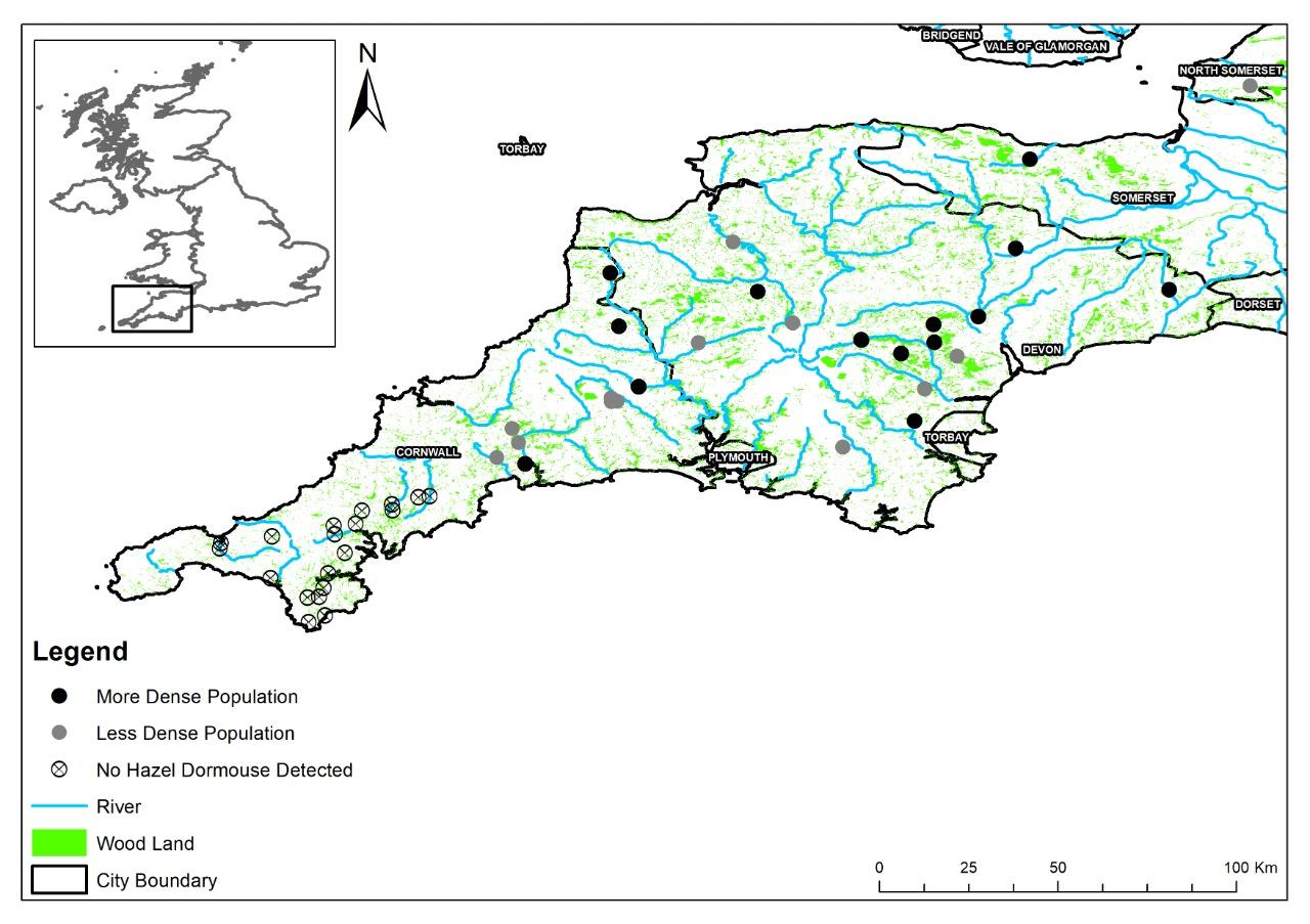 Professional GIS Mapping and Remote Sensing Services