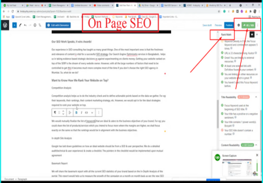 I will do Advanced On Page SEO to Rank Your Website