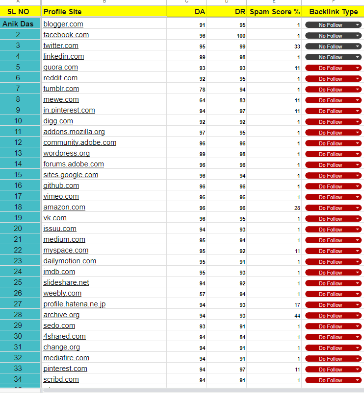I will make your Profile Backlink Expert.